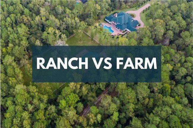 Ranch vs Farm: What's the Difference?