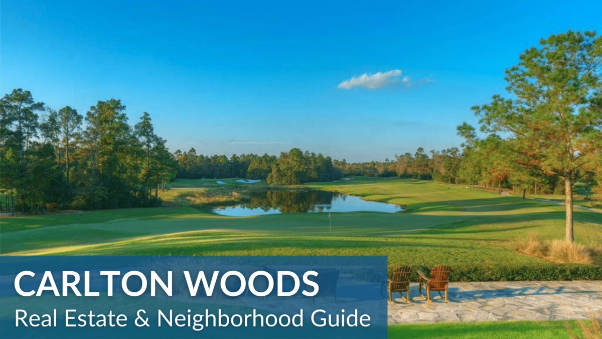 Plant your company in the Woods: The Woodlands, Texas, USA - The