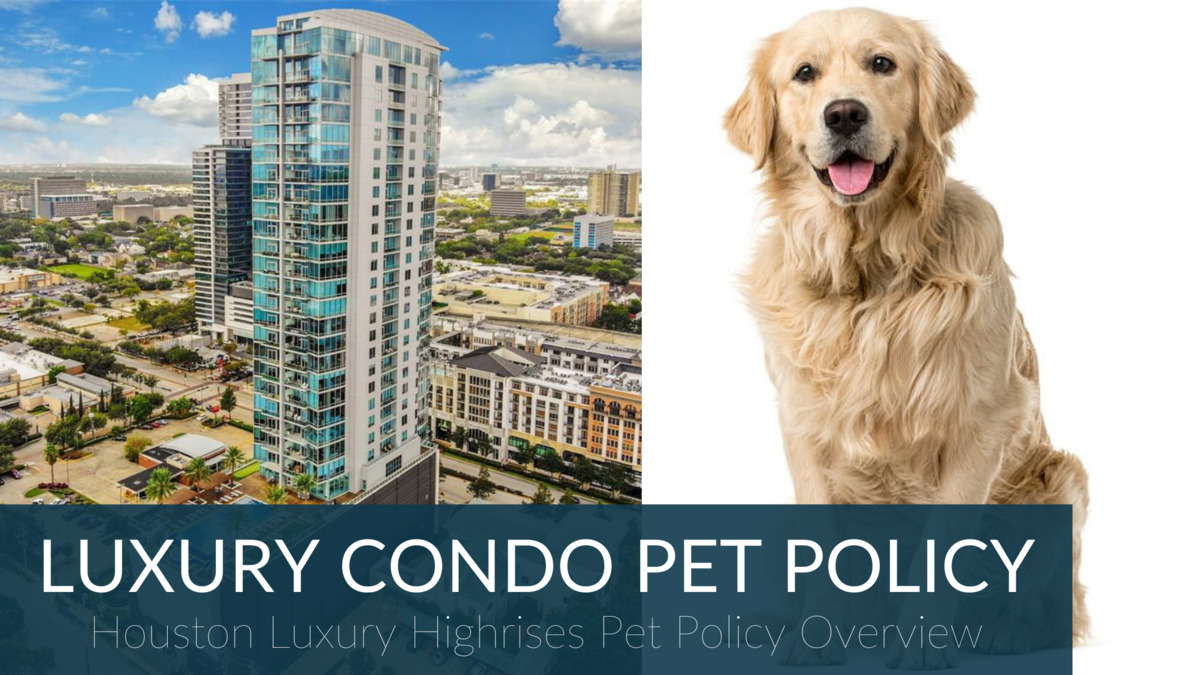 Infographic: Pet Policies Of Luxury Highrises In Houston