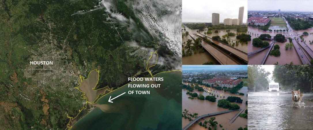 Hurricane Harvey Aftermath: Things To Do During Post Disaster Cleanup