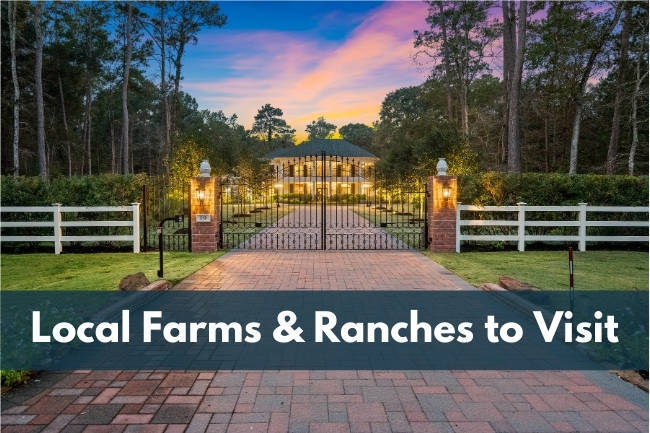 6 Farms and Ranches to Visit in Houston