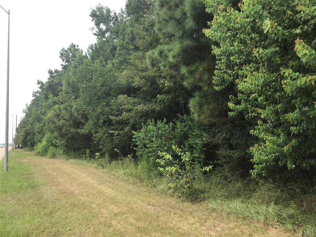 Wooded area on the property
