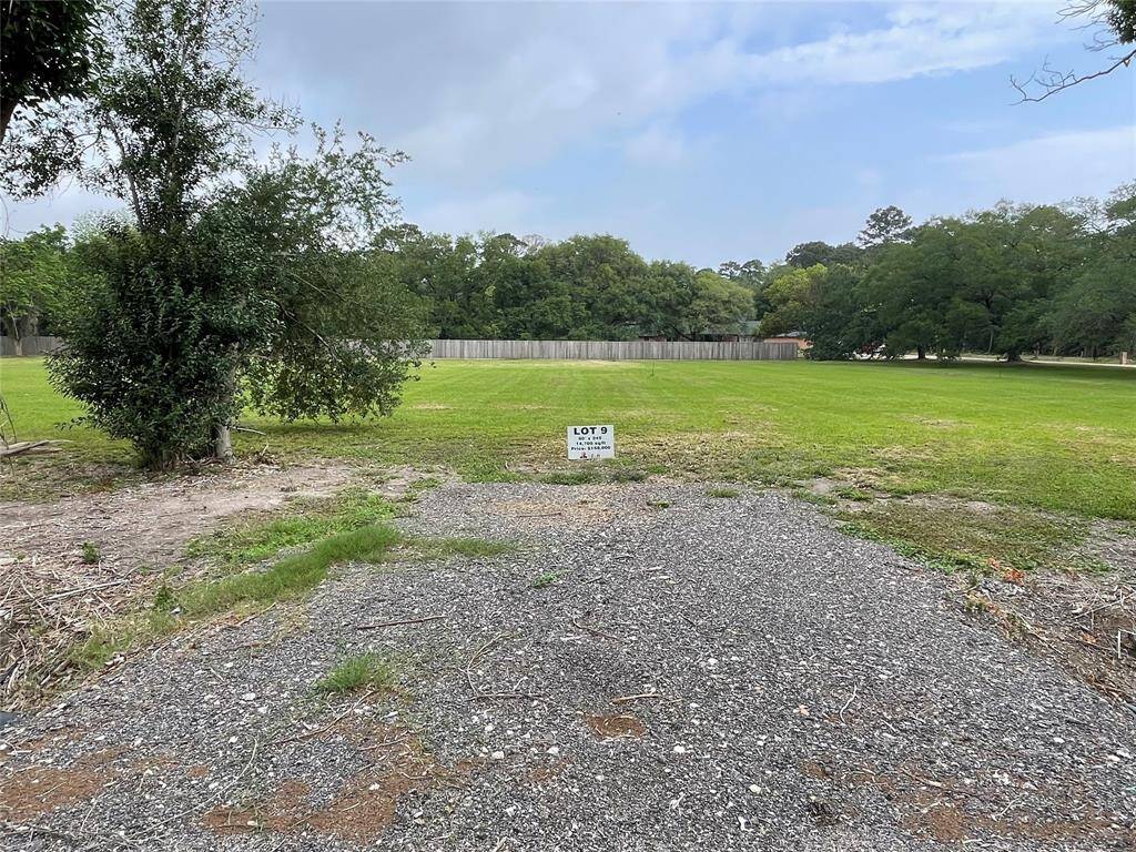 Lot 9