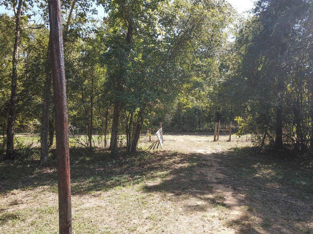Sunny clearing with a dirt path, surrounded by trees, and a wooden structure in a forested area.