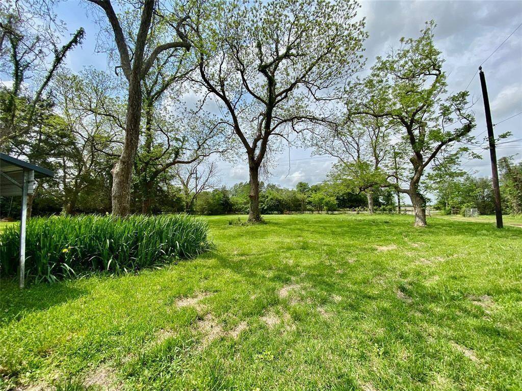 This is a spacious, sunlit yard featuring mature trees and lush greenery, offering a serene outdoor space for relaxation and activities.