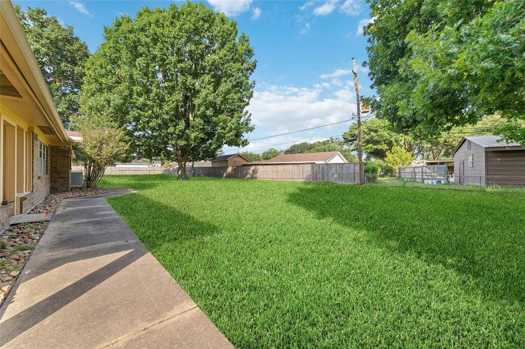 The backyard of the house.