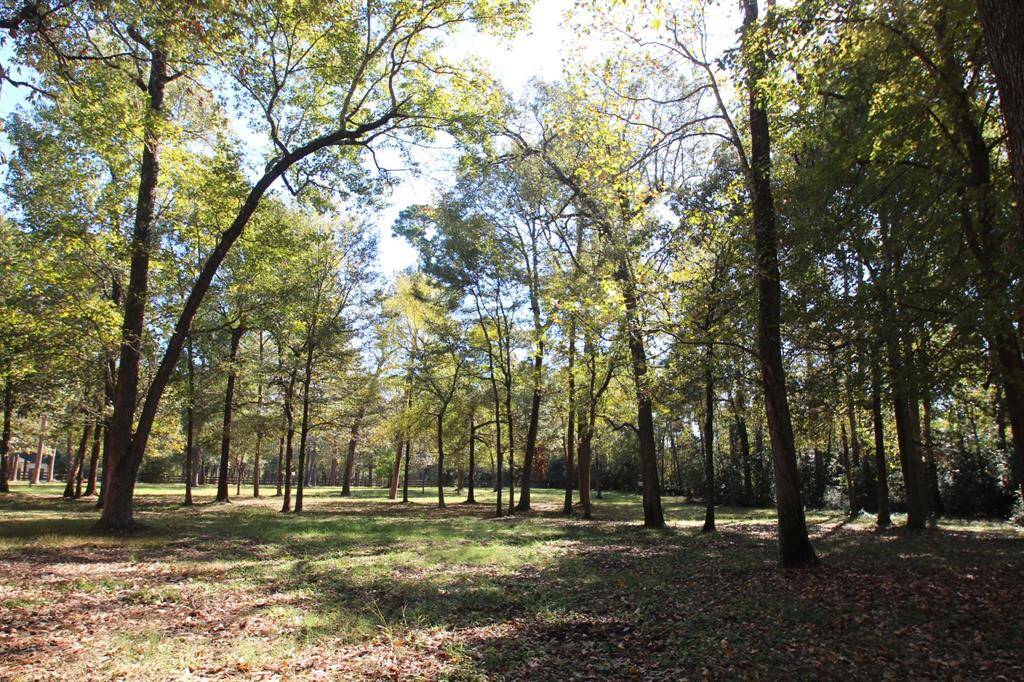 Scattered hardwoods shade your very own park.  Hopewell is close to Montgomery, Sam Houston National Forest and Lake Conroe.