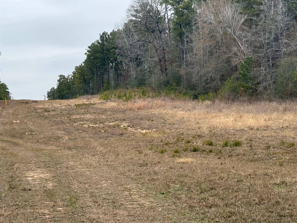 back of lots showing elevated terrain