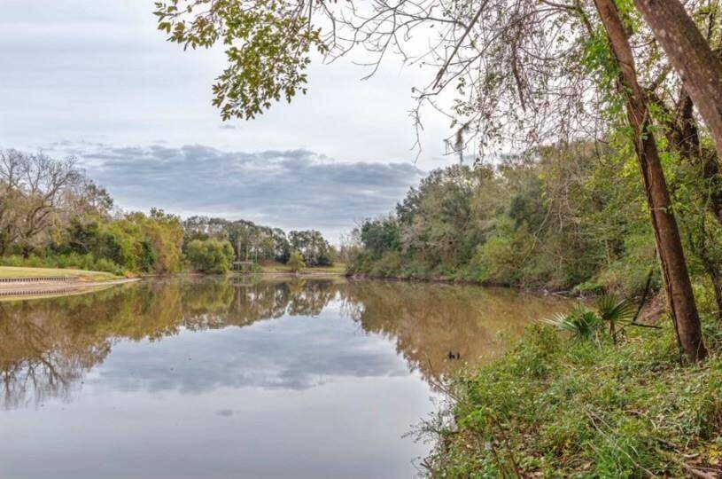 A view of the San Bernard River.