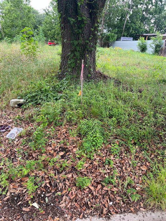Vacant Lot before construction