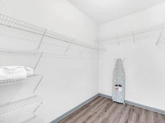 Spacious walk-in closet featuring wire shelving for ample storage and a laminate floor.