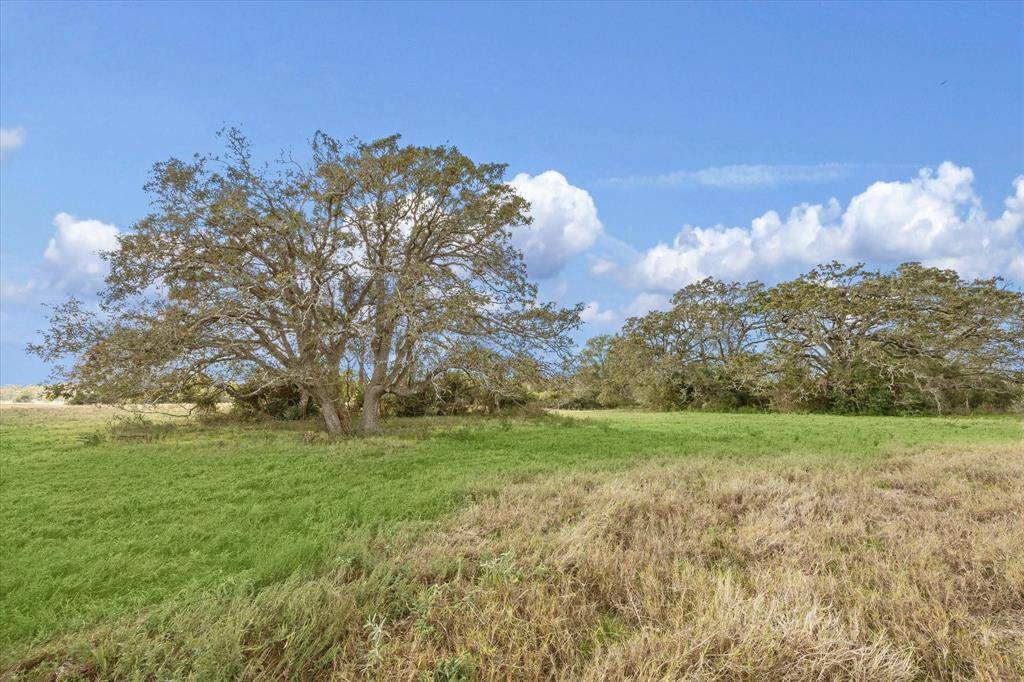 This property is in a great location and is ready