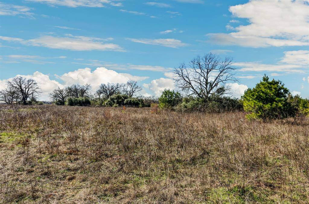 25 acres off Mack Washington.