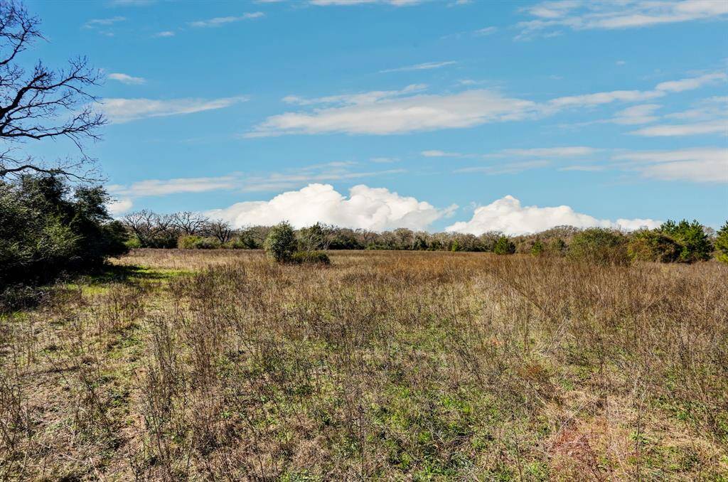 Mostly cleared with a few scattered trees.