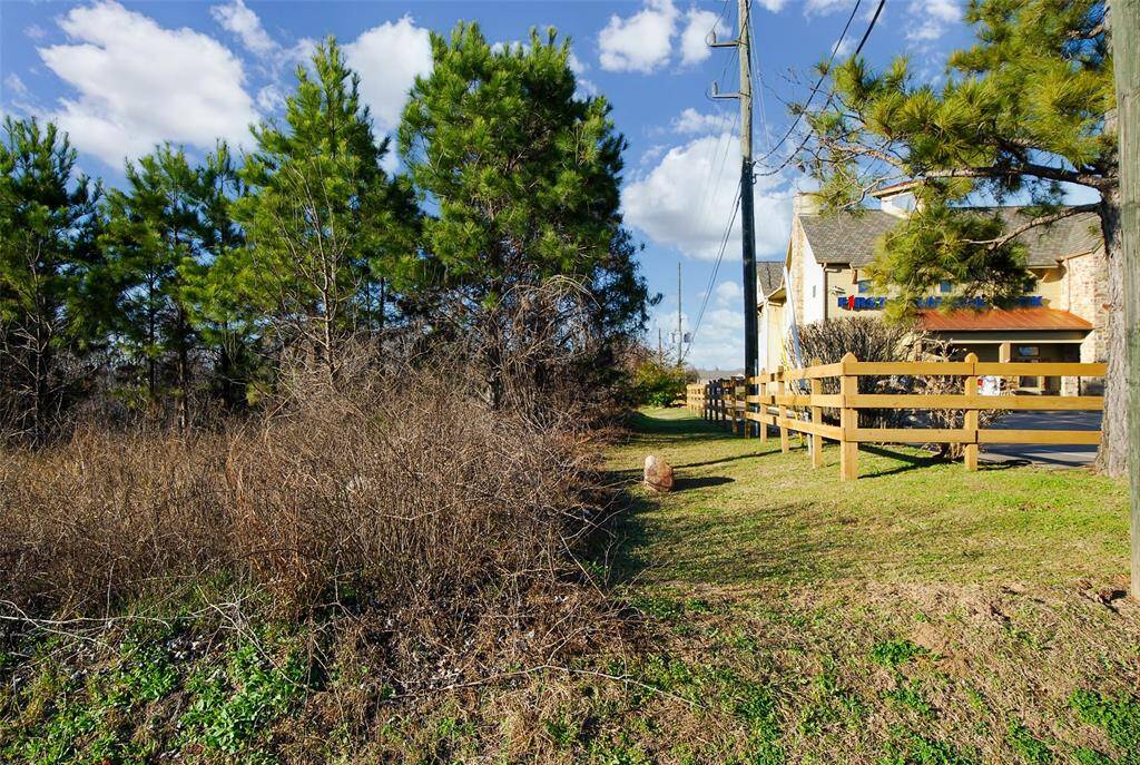 This is looking down the east property line and where the existing drainage ditch will be relocated.