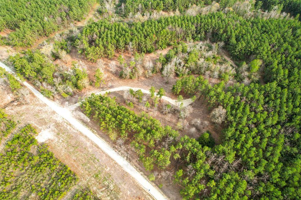 10.01 ACRES WITH PARTIALLY CLEARED PERIMETER AND BEAUTIFUL HOMESITES POSSIBLE ON THIS LOT