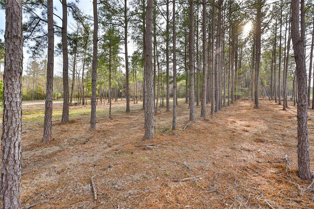 UNDER BRUSH CLEARED - TIMBER EXEMPTION COULD BE AVAILABLE IF TIMBER IS LEFT IN TACT