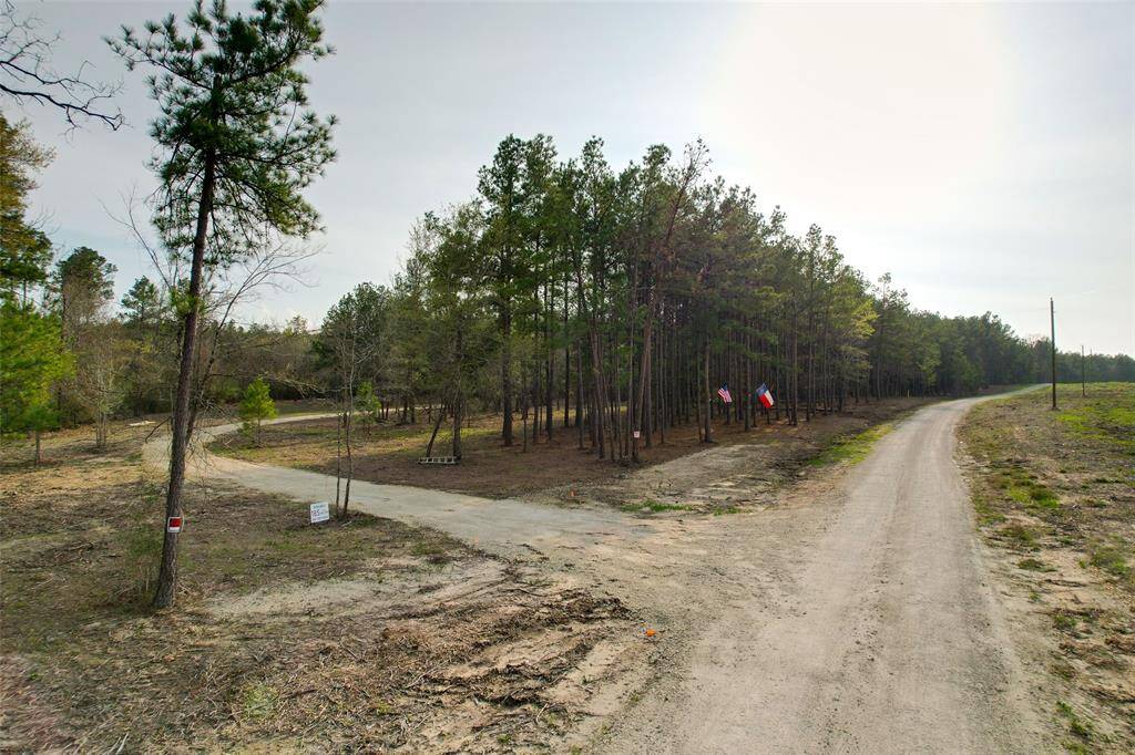 OWNER HAS ALREADY INSTALLED APPROX 300' FOR YOUR ROCK DRIVEWAY