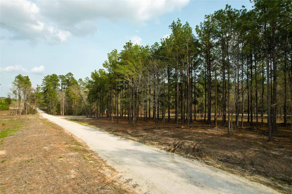 GROUND VIEW FROM WEST - T-POST WITH ORANGE TAPE MARKS THIS END OF THE PROPERTY