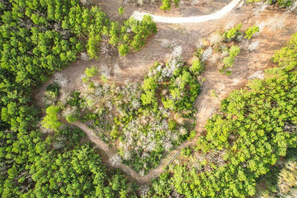 OWNER HAS CLEARED APPROX 5 ACRES LEAVING SCATTERED TIMBER