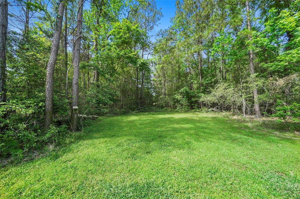 Another view of the wooded property.