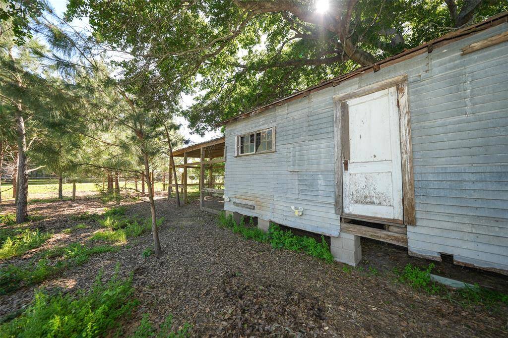 Chicken Coop