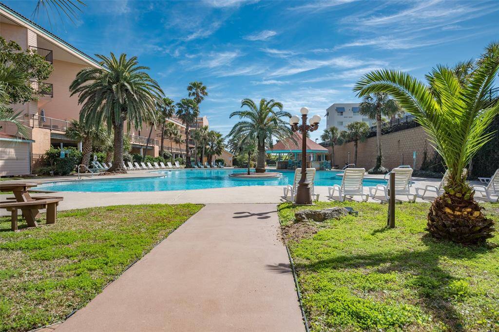 Main pool