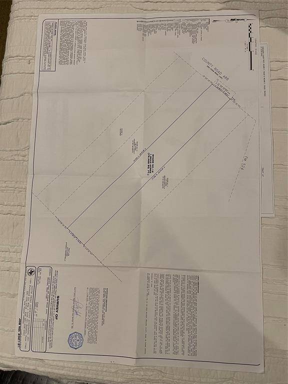 property line starts just inside the right track of this drive way and is 80' wide
