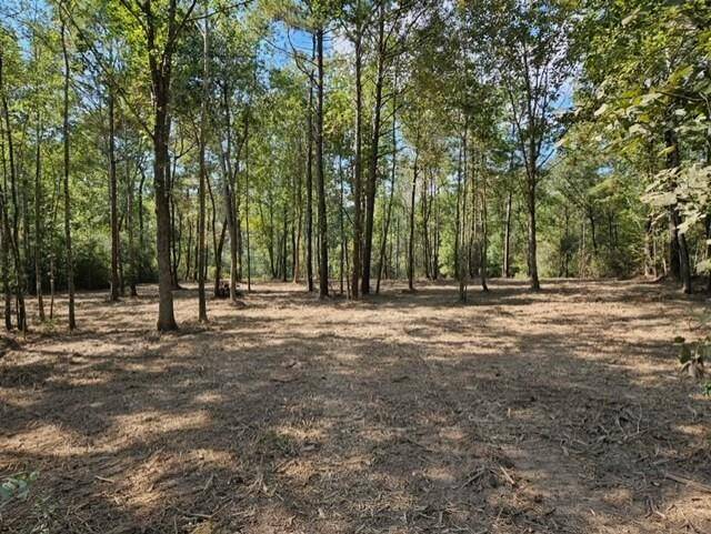 The underbrush has been cleared, so come out and walk this beautiful lot.