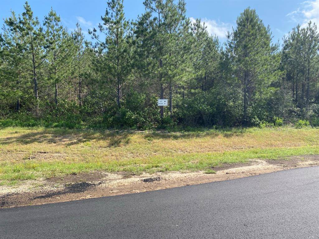 Facing the property lot from the Cul-de-Sac. Moss Grove Court has recently been paved.