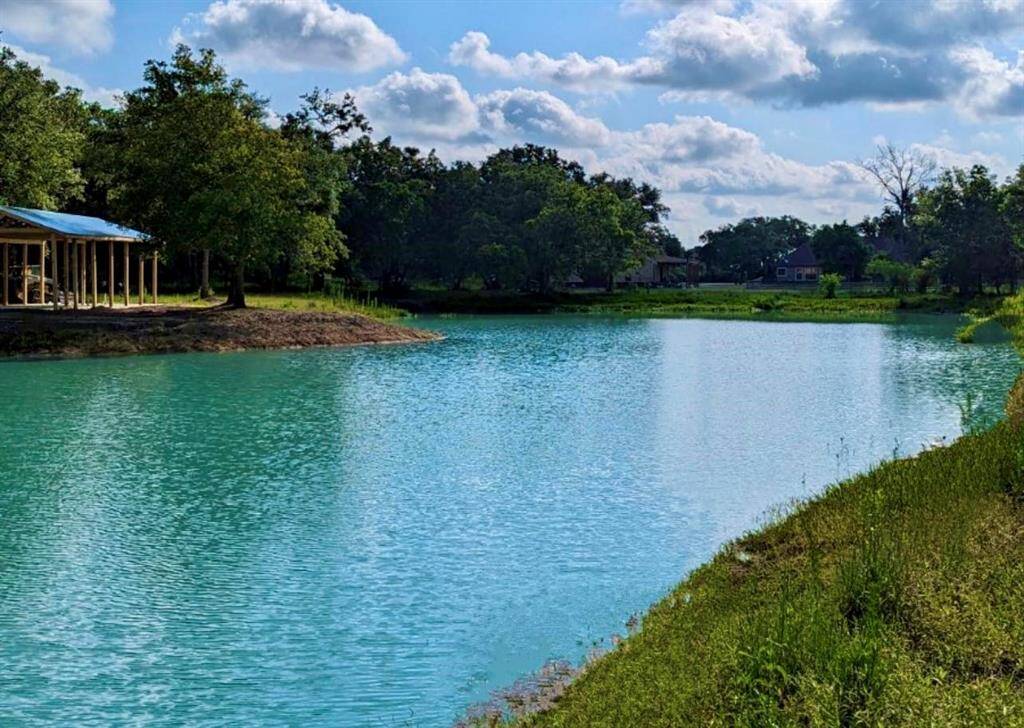 Community Pond