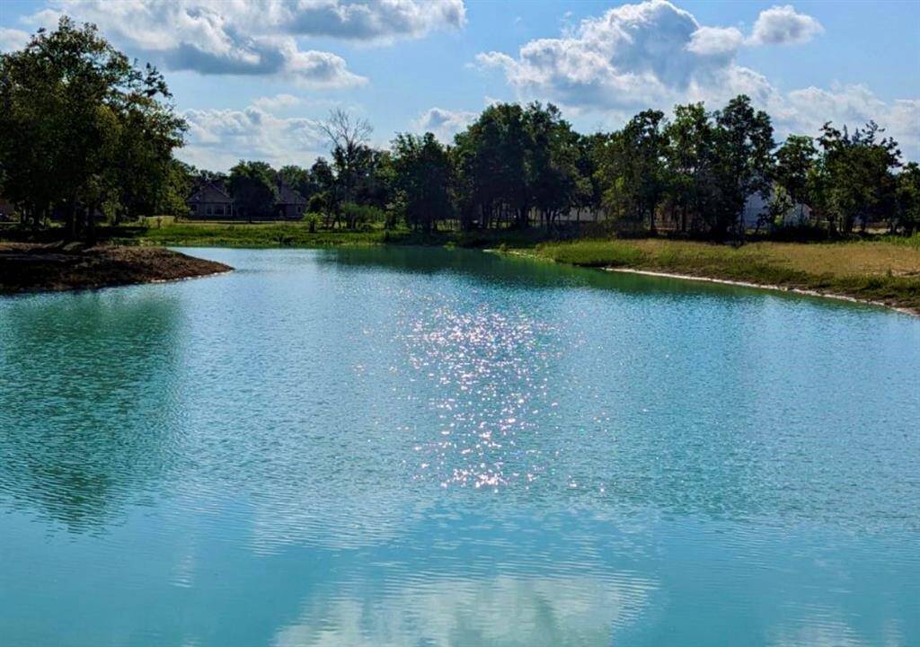 Community Pond