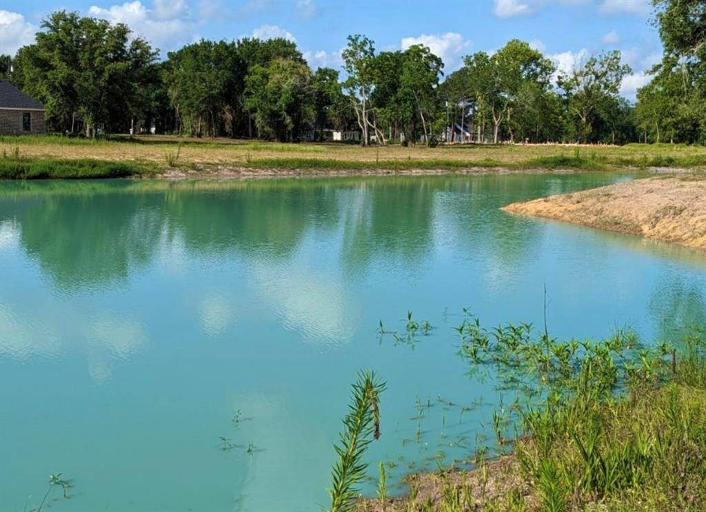 Community Pond