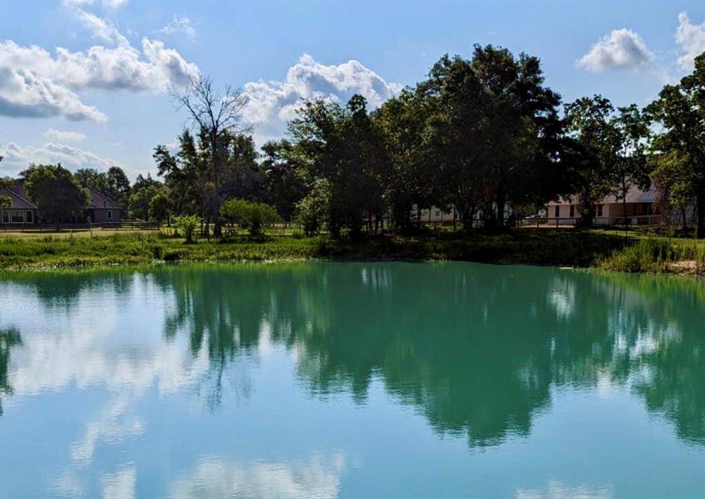 Community Pond