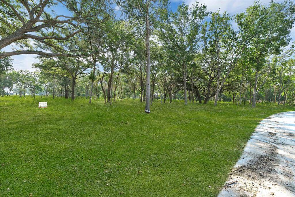 Lot 65