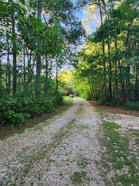 Tree lined entry.