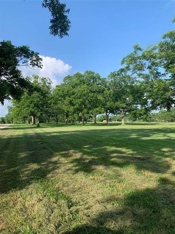 view of pecan orchard