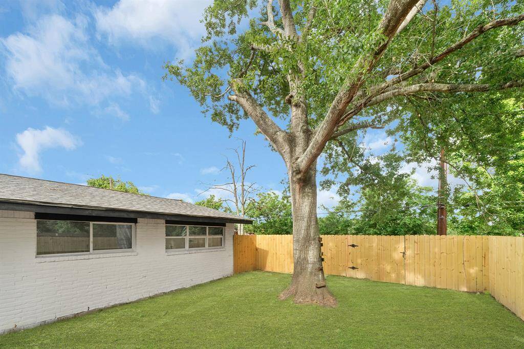 Serene backyard featuring a majestic tree, lush green lawn, new wooden fence, and a white house with expansive windows.