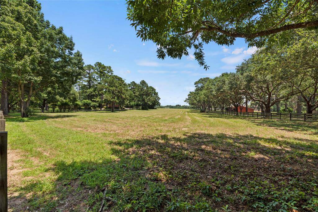 Another view of the pasture surrounded by mature trees.