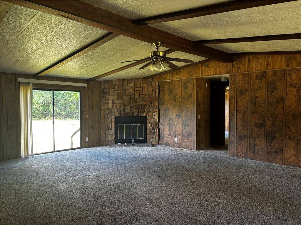 Fireplace/backdoor