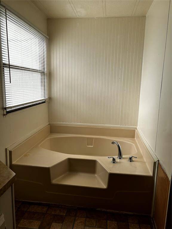 Primary bath tub