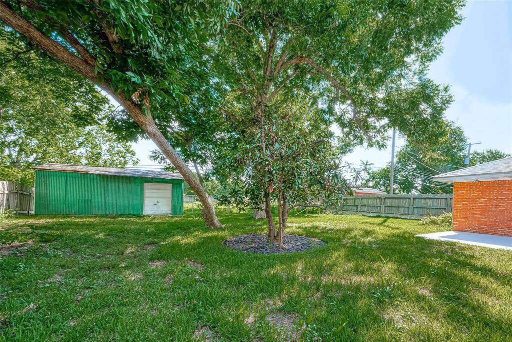 BACKYARD PHOTO.