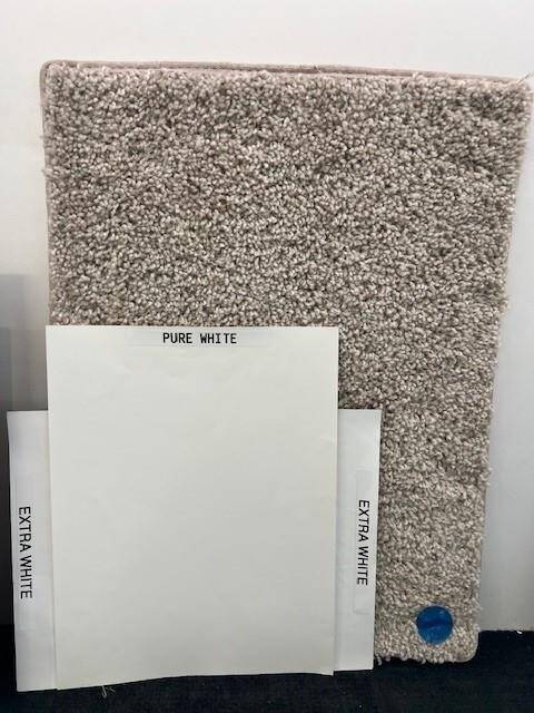 carpet and paint.