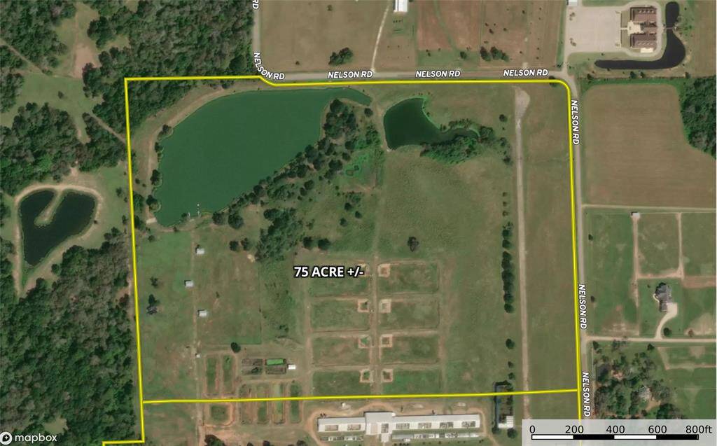 75 ac (+/-) tract with two frontages on Nelson Road, Hempstead