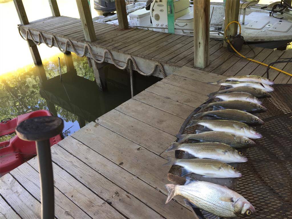 Fish off the pier or take the boat a short distance to the open lake.