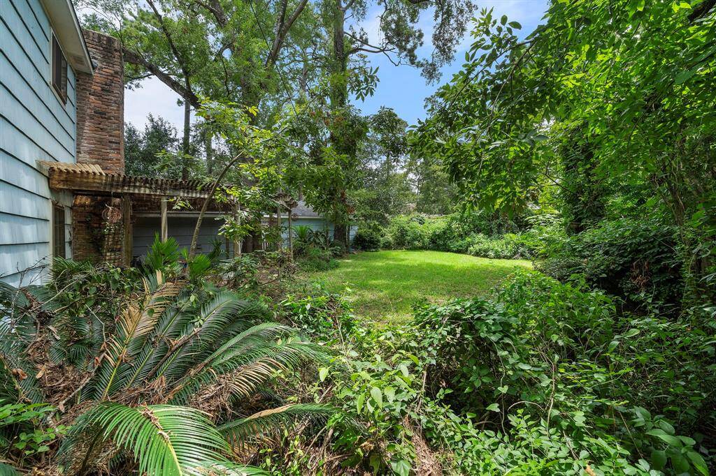 Another view of the enormous backyard.