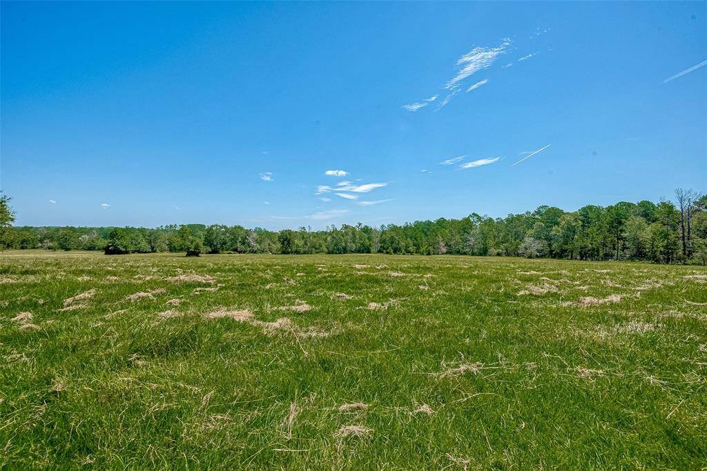 Back Pasture