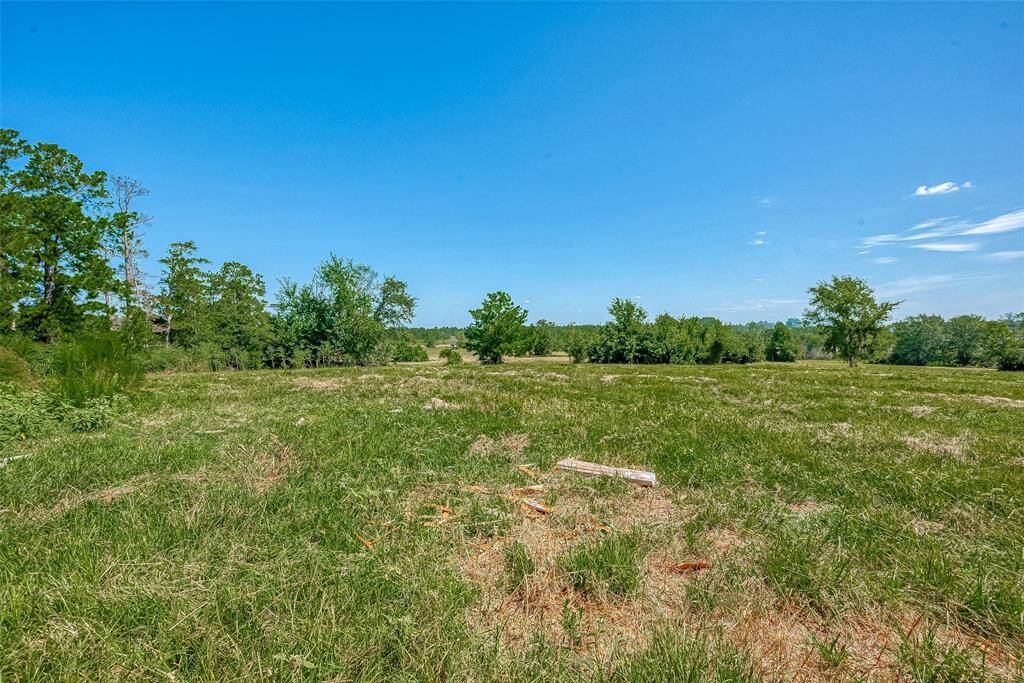Back Pasture