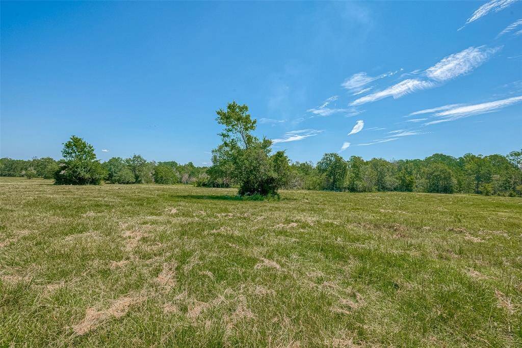 Front Pasture