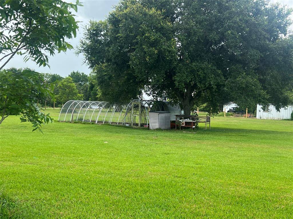 Spacious backyard with mature trees and a greenhouse structure, offering potential for gardening and outdoor activities.